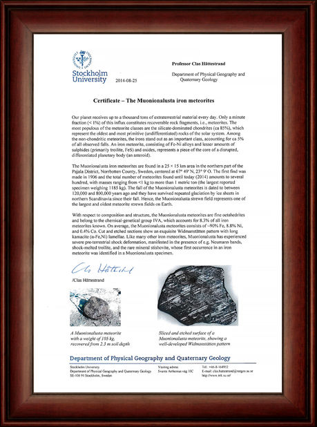 Китай Guangzhou Mantianxing Gift Ltd Сертификаты